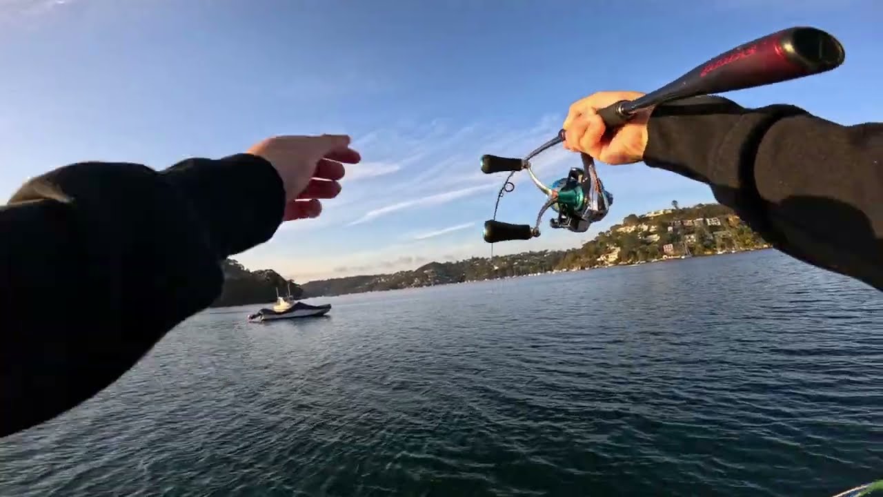 CATCH and COOK - Sydney Harbour Fishing