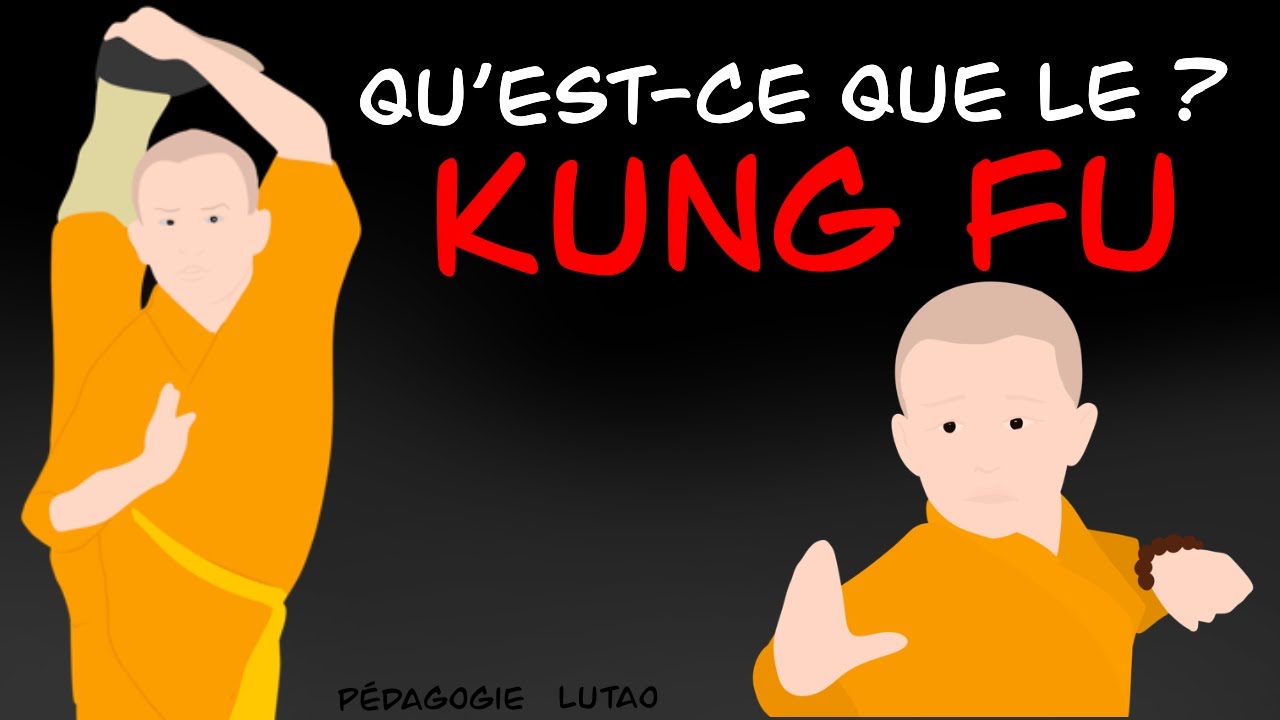 Qu'est-ce que le kung fu ? #1 ✨