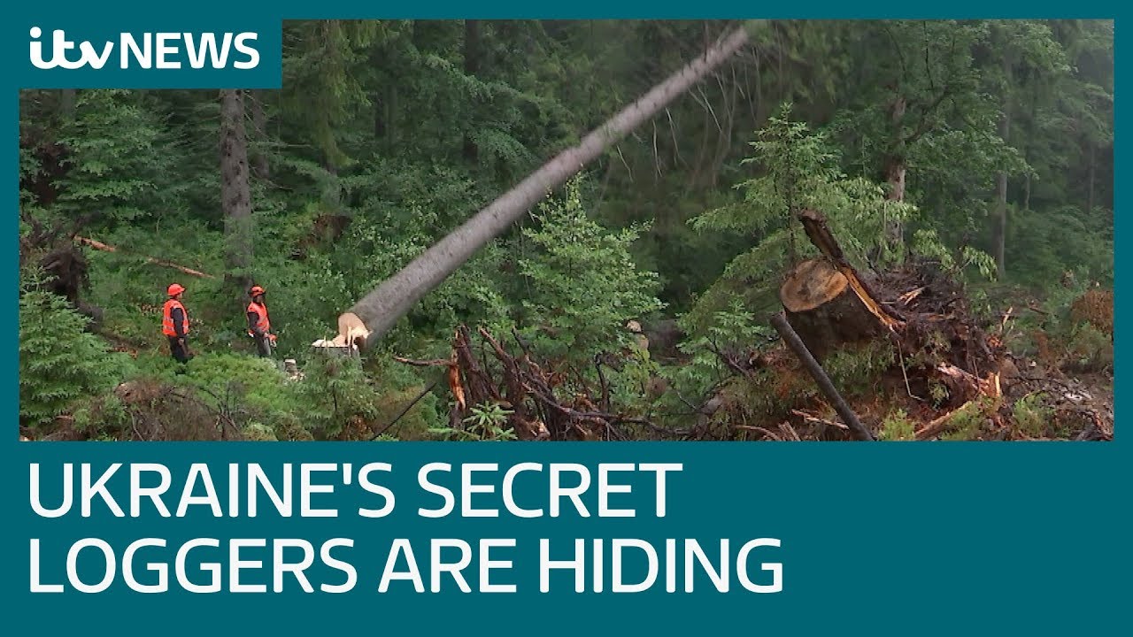 The terror on the road to exposing Ukraine's dirty secret | ITV News