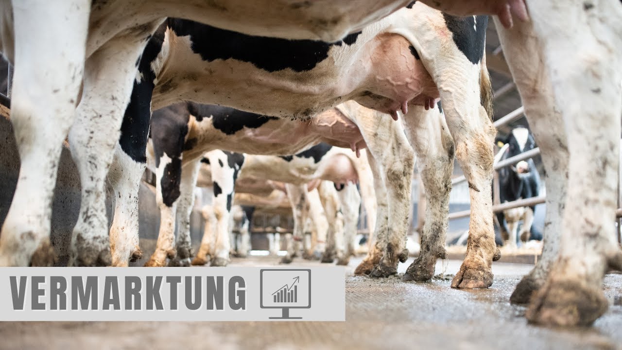 Ein Einblick: Die Vermarktung geht weiter