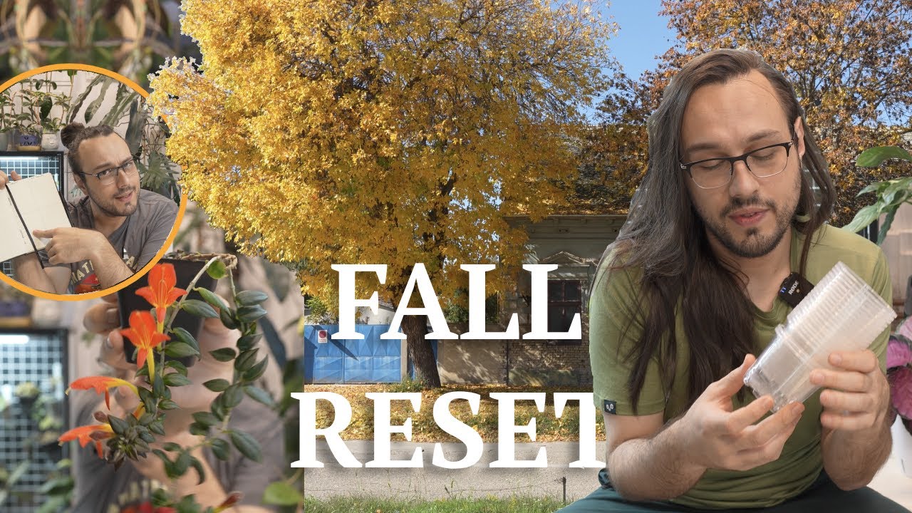 🍁 planning my plant chores & mapping out my plant goals for the fall | Fall Reset 🍂