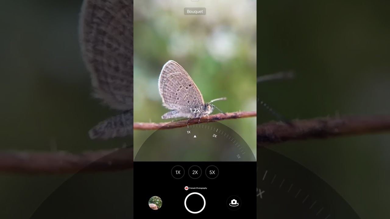 Adcom 12/24x Macro lens for Mobile 🤩📱#youtubeshorts #photography