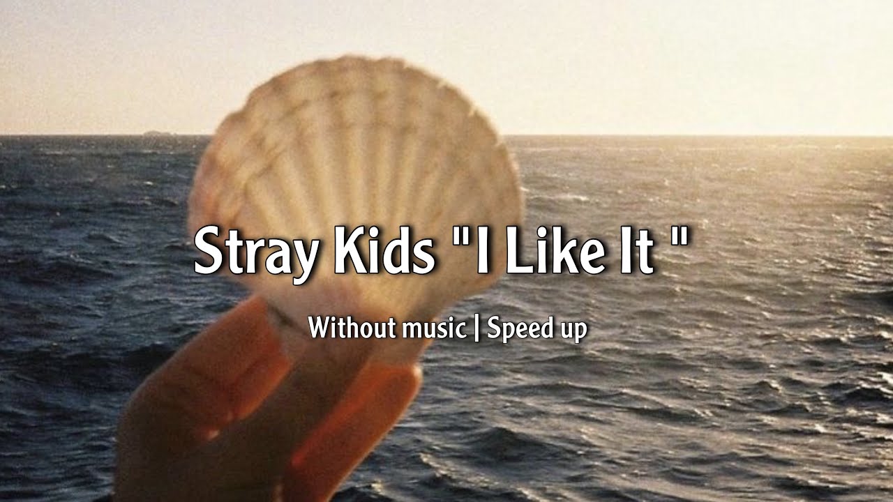 Stray Kids “I Like It “ | بدون موسيقى | Without Music