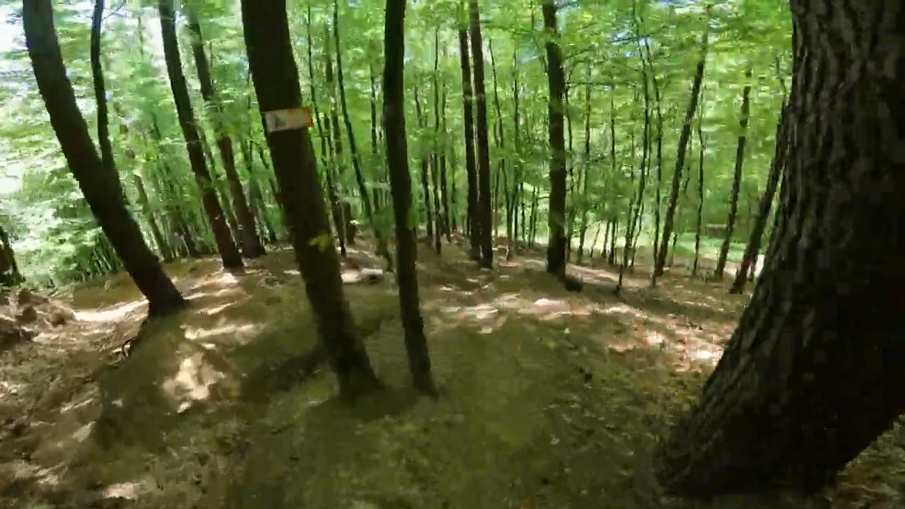 Sankt Ingbert - Pur - Kahlenberg-Snake   MTB Saarland RAW