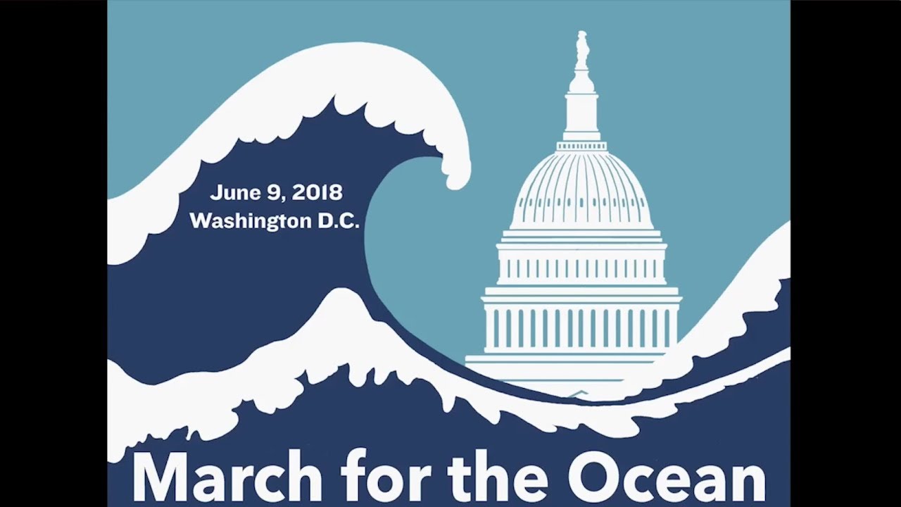 David Helvarg - A Blue Vision and a March for the Ocean