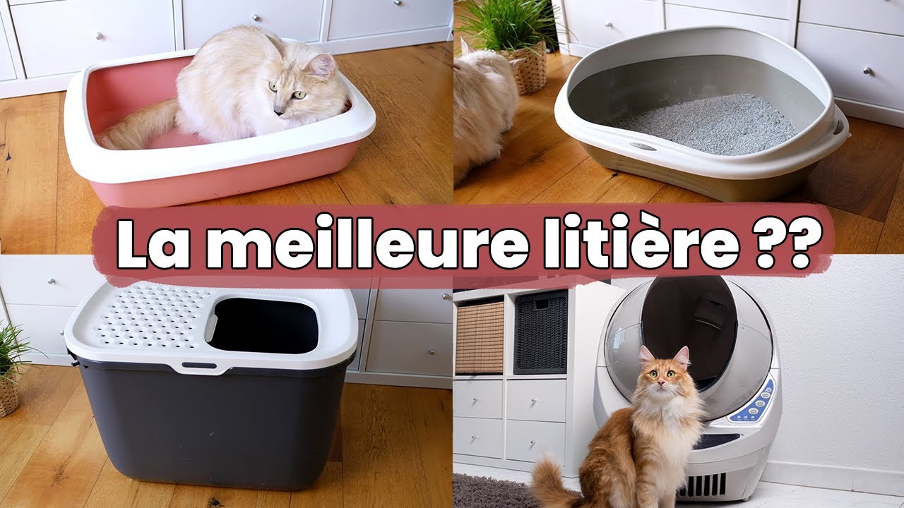 Je teste 5 bacs à litières pour chats : ouverte, fermée, automatique, pliable … | Test & Avis