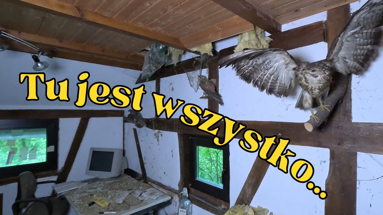 Porzucony dom pełen wyposażenia... #opuszczone #urbex #opuszczonemiejsca #opuszczonedomy #dc