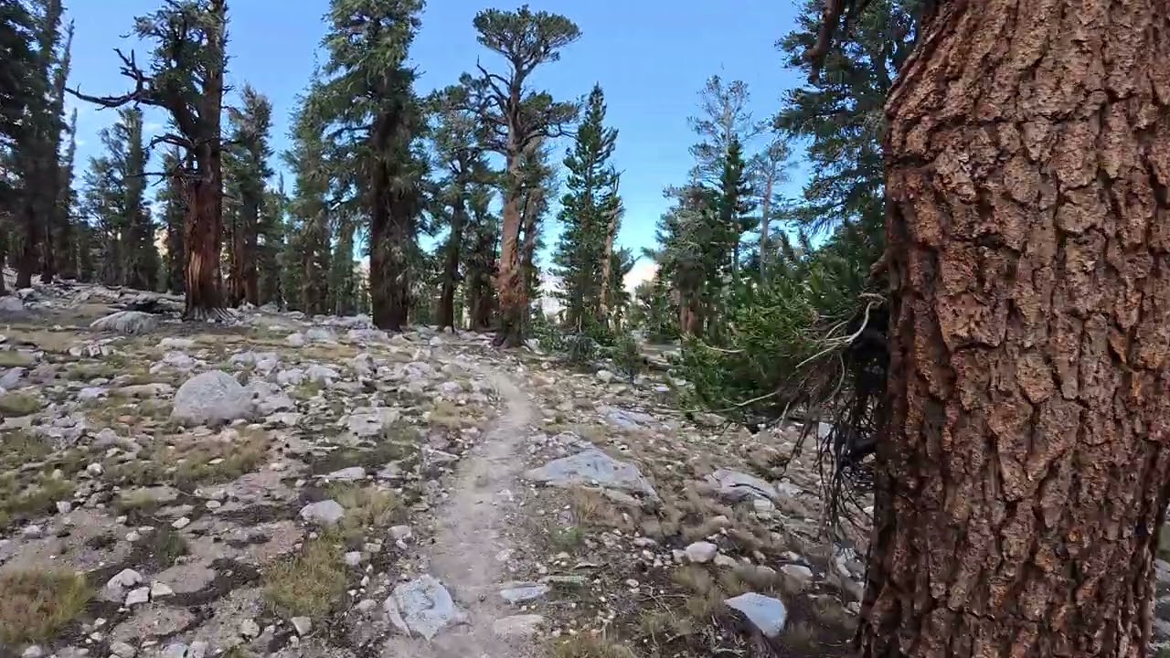 Between Tyndall Creek and Bighorn Plateau