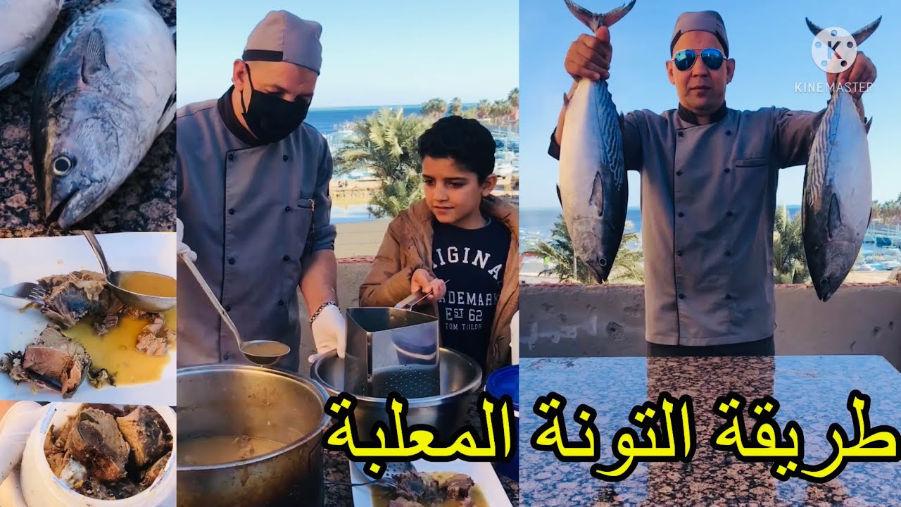 طريقة عمل التونة المعلبة  قطع فى البيت عملت التونه المعلبة  تكفى سبع اشهور