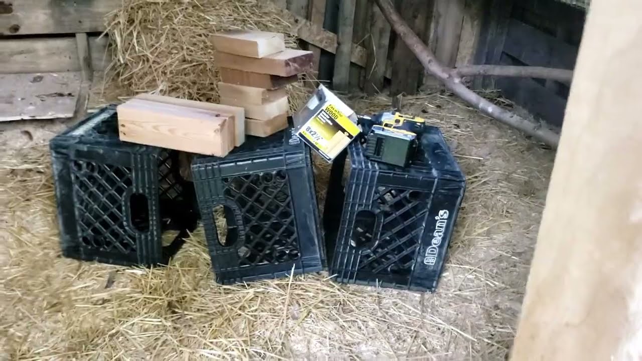 Chicken coop custom nesting boxes