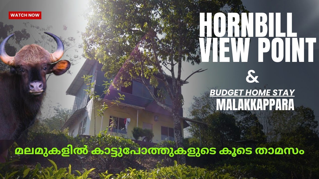 Hornbill view point കണ്ട് മലക്കപ്പാറയിൽ താമസം| budget stay in malakkappara & hornbill view point