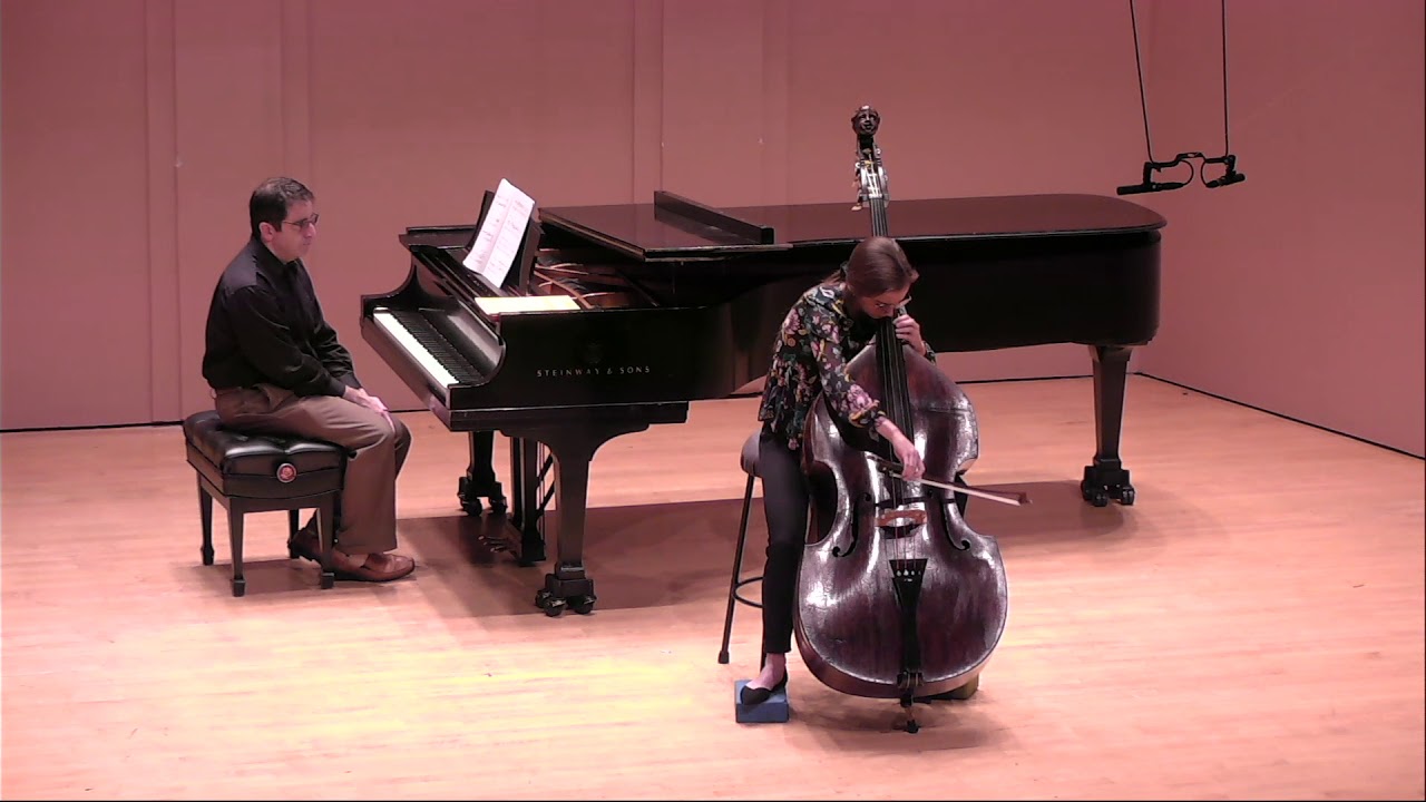 Vanhal Double Bass Concerto, Mvt 1