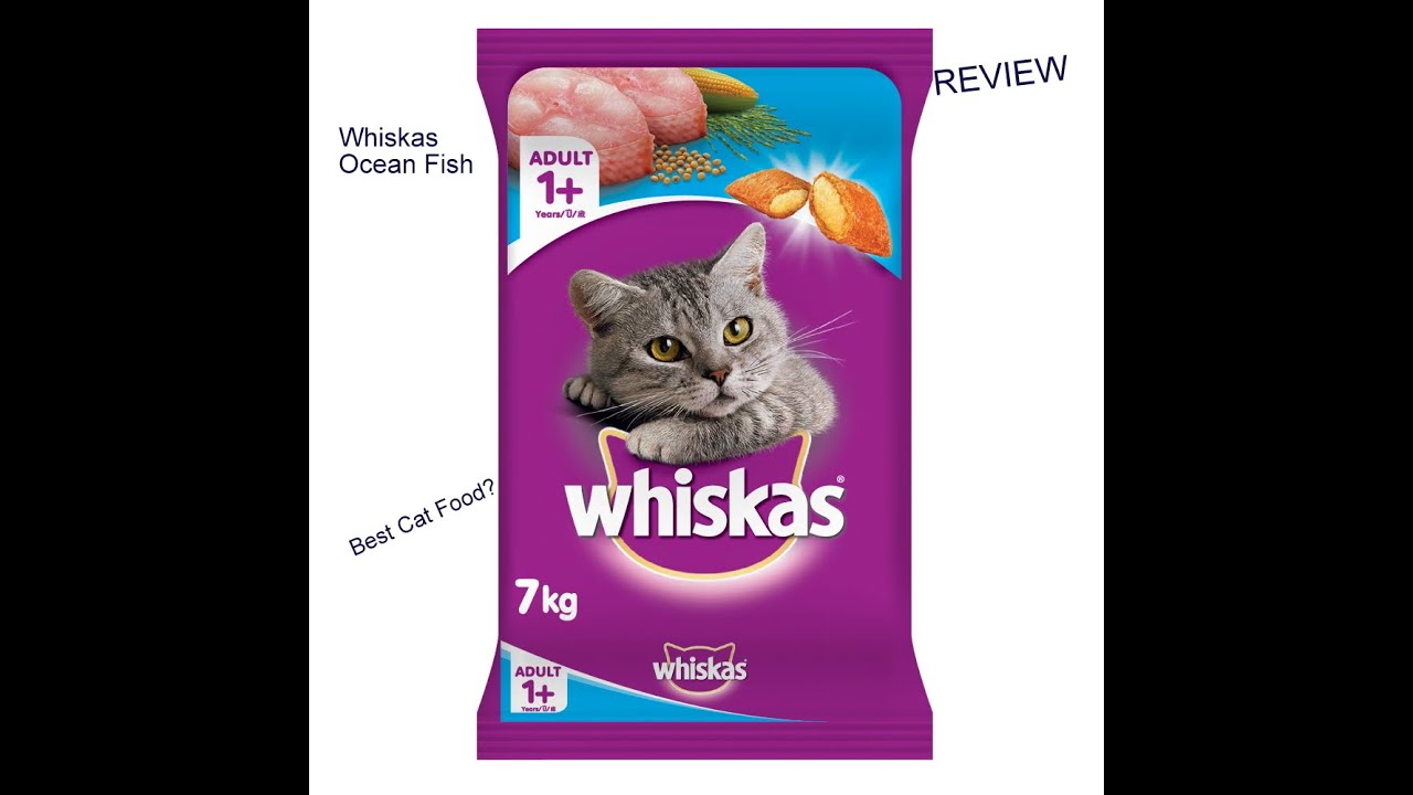 Whiskas Ocean Fish Dry Cat food review