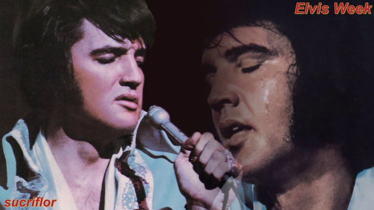 ELVIS PRESLEY -  I'LL NEVER FALL IN LOVE AGAIN