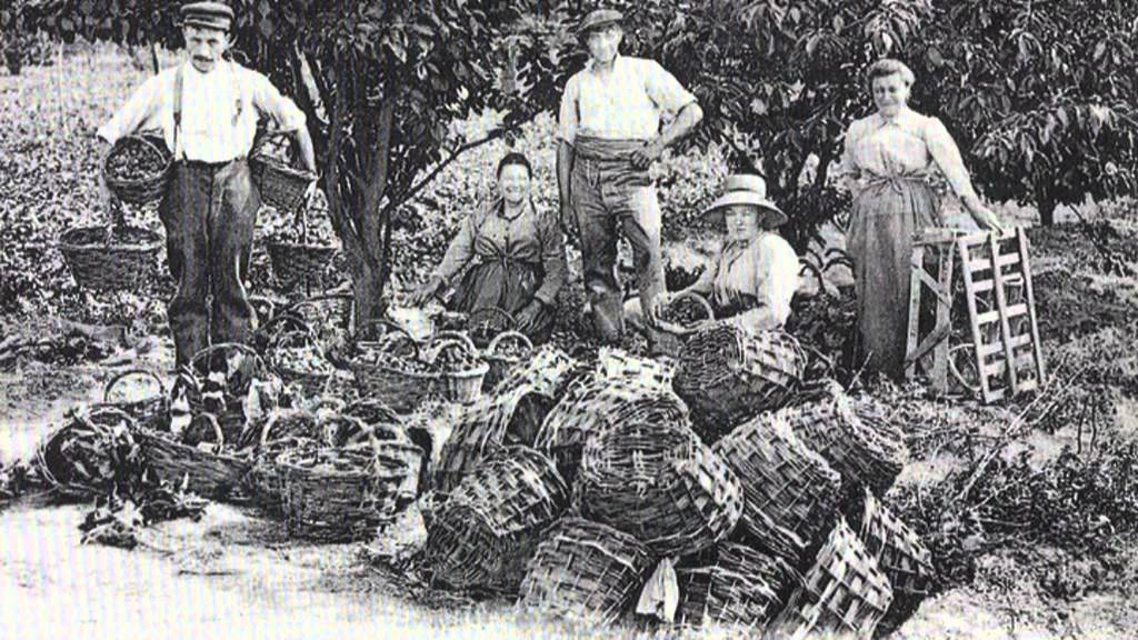 VERRIERES LE BUISSON en 1900