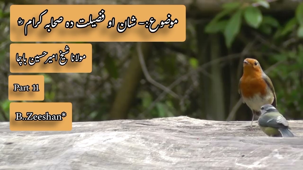 Shan Aw Fazelat Da Sahaba kiram (R.A) bayan Da Mulana Shekh Amer Hussain Bacha