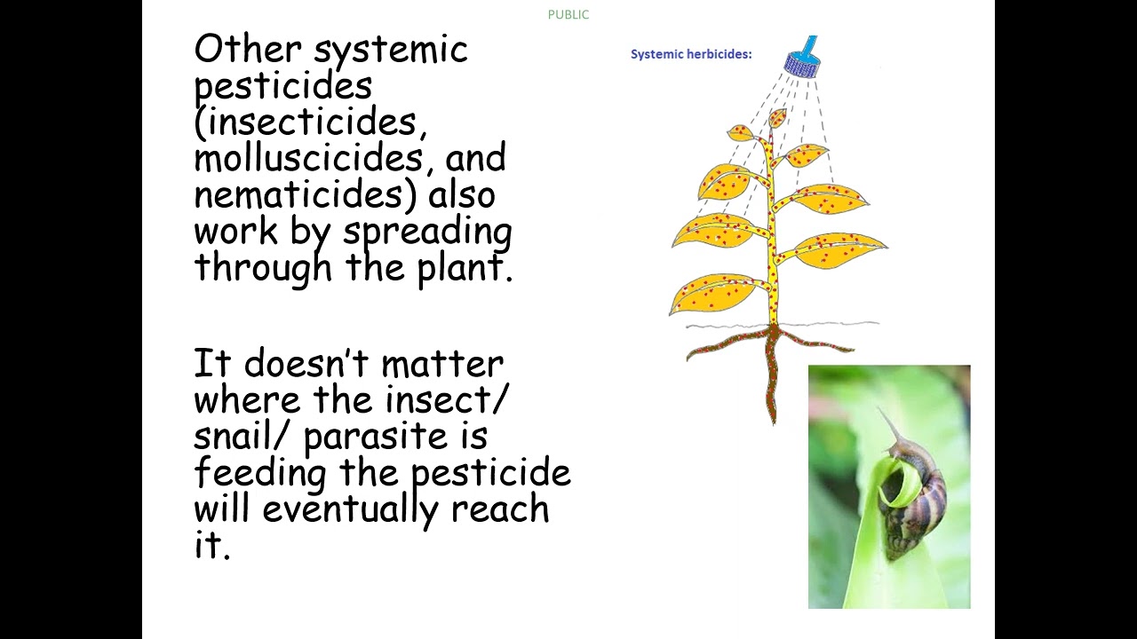 3 - Crop protection