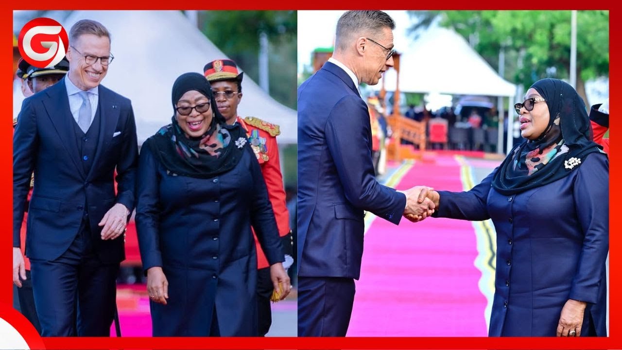 RAIS SAMIA AKIMUAGA RAIS wa JAMHURI ya FINLAND ALEXANDER STUBB - IKULU - DAR