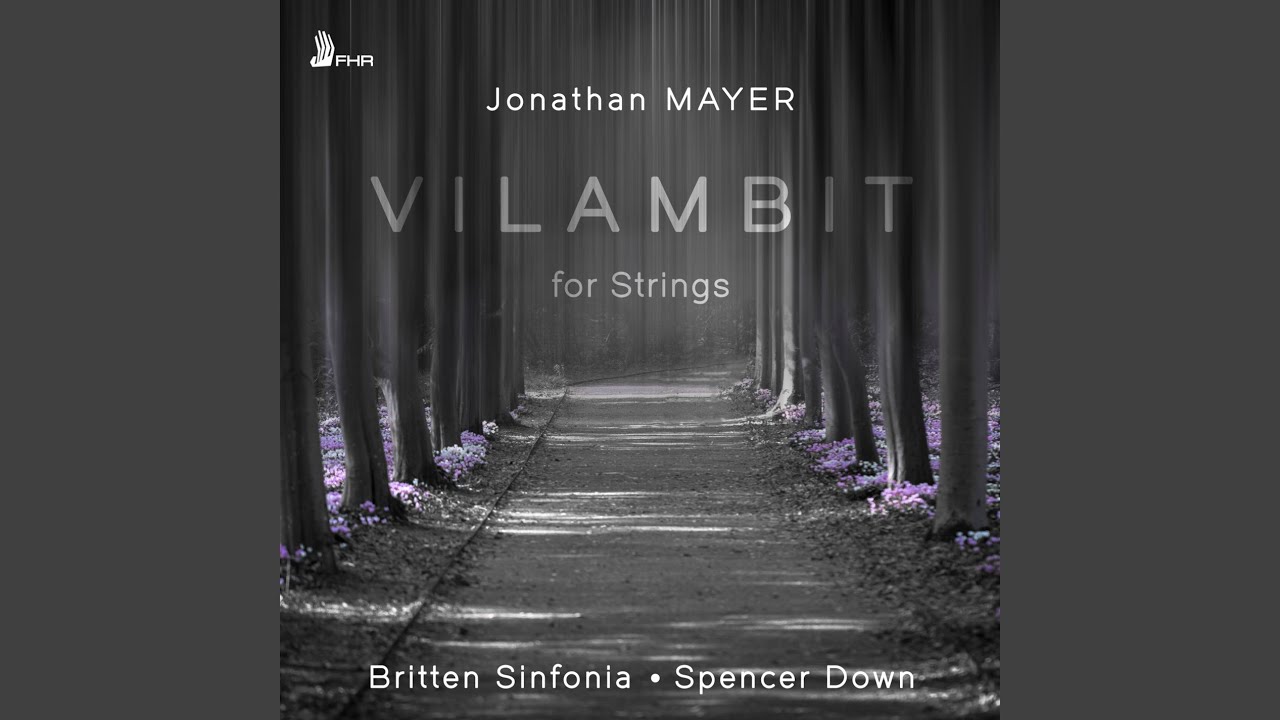 Vilambit for Strings
