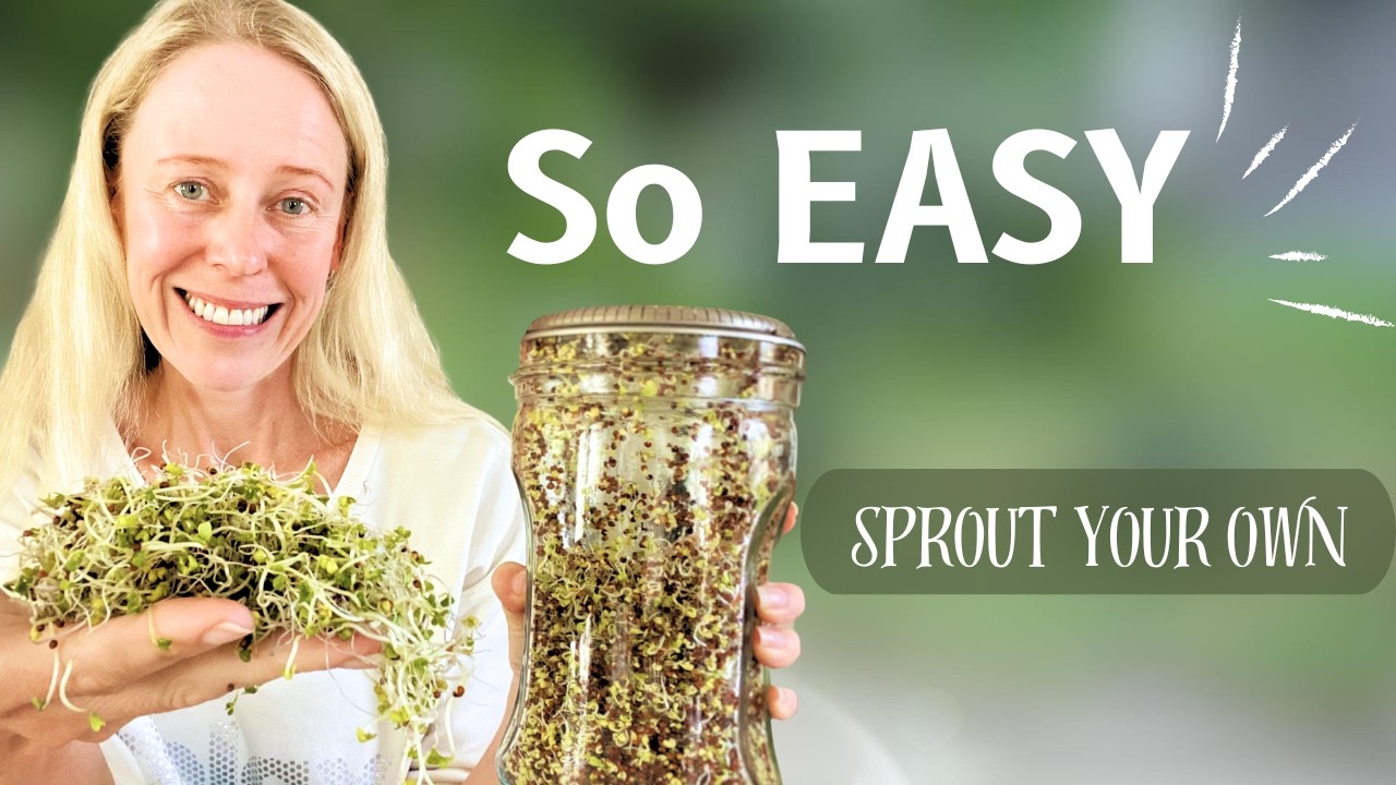 How to Grow Broccoli Sprouts EASY! Just 5 Days! No Experience Needed!