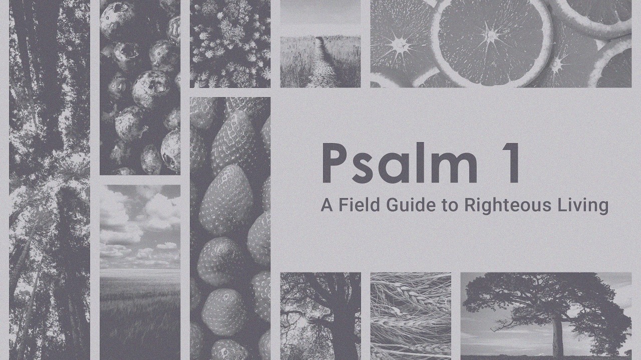 February 22, 2026 | Psalm 1