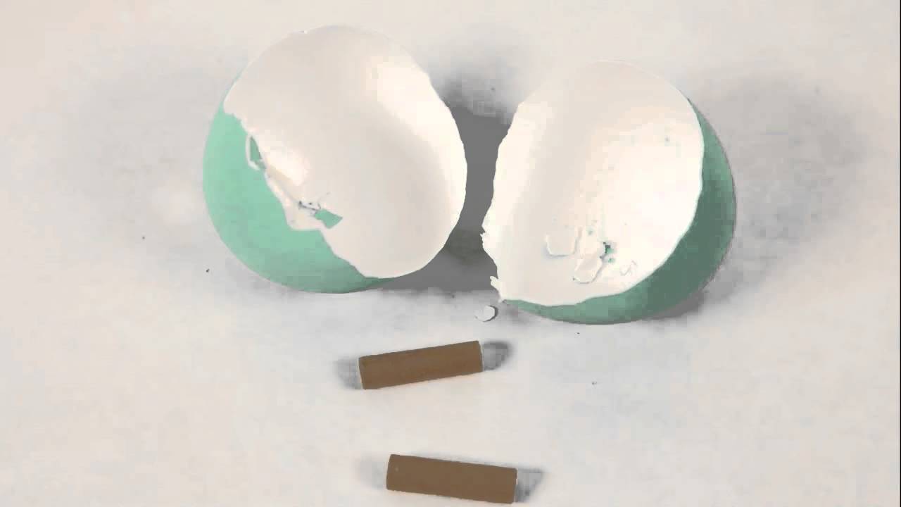 Karan + Charul : SaVe tHe DaTe (Stop Motion Film)