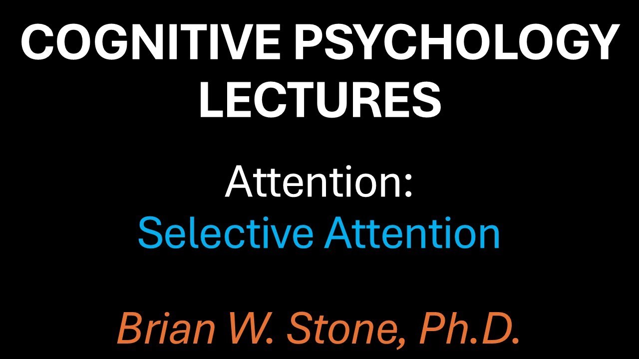 Cognitive Psychology - Attention Pt3 - Selective Attention