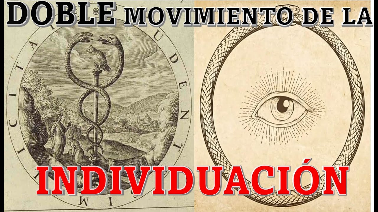 ¿QUÉ ES EL PROCESO DE INDIVIDUACIÓN?  ETAPAS EN LA INDIVIDUACIÓN.