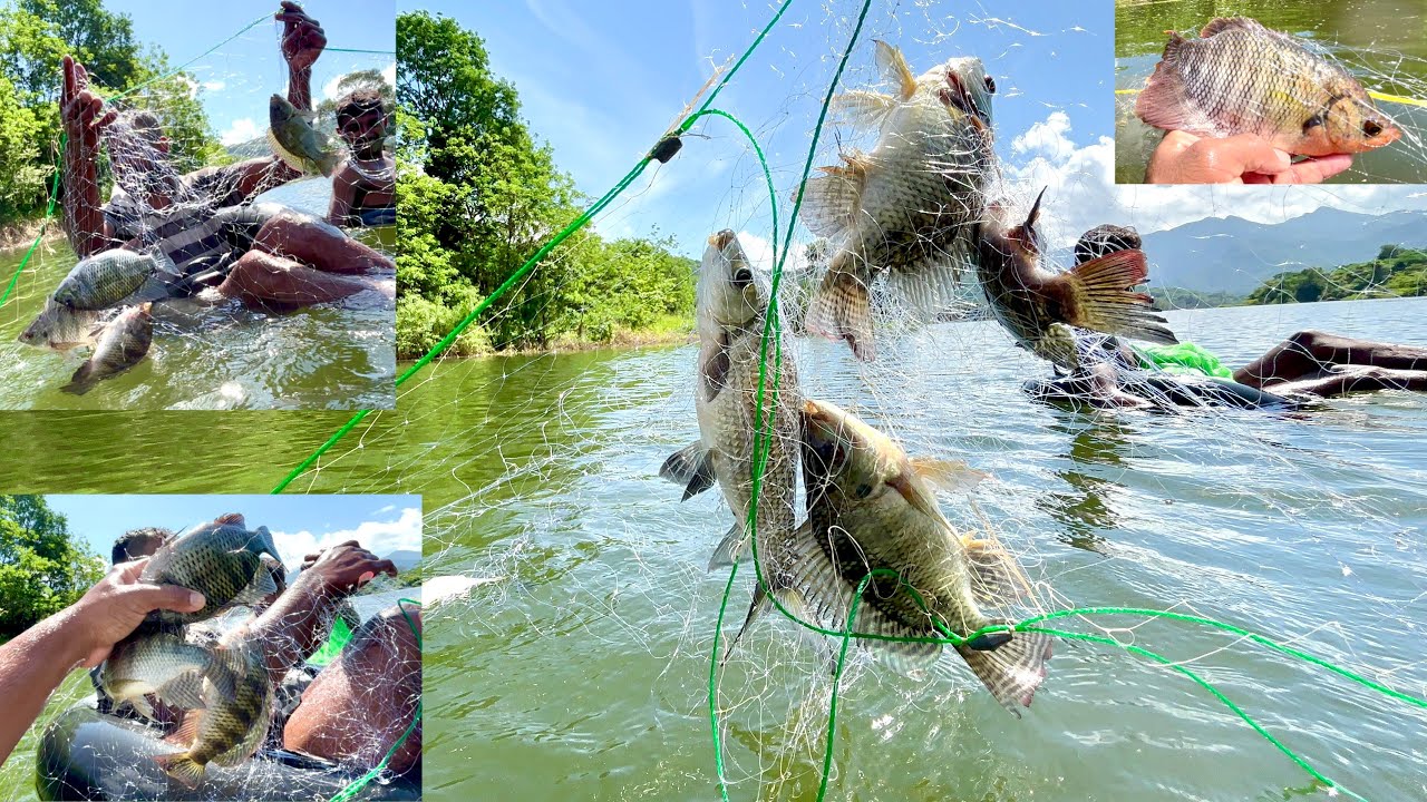 එලන දැල් වලට පොකුරු පොකුරු මාලු සෙට් වෙනවා මේ දවස්වල 🐟🐠😱 gill net fishing 🐠🐟🤩😱