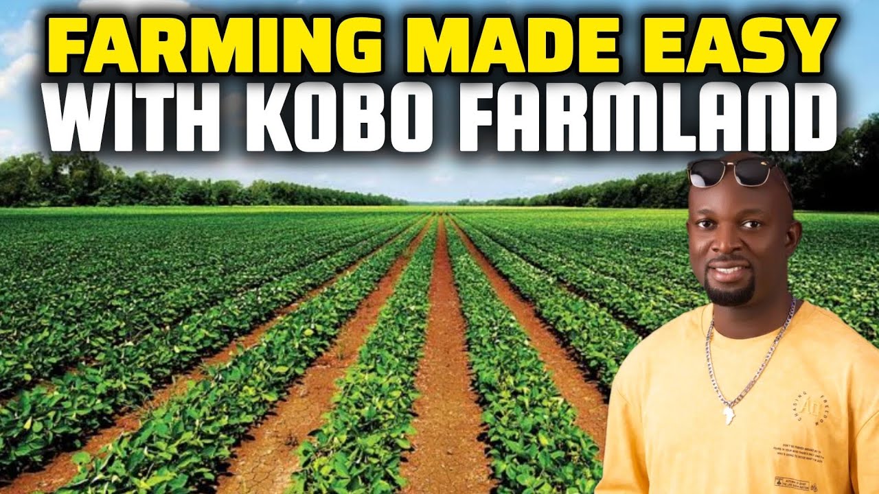 KOBO FARMLAND IN LAGOS-OGUN-OSUN-OYO-ONDO-EKITI STATE - FARMING BUSINESS IN NIGERIA
