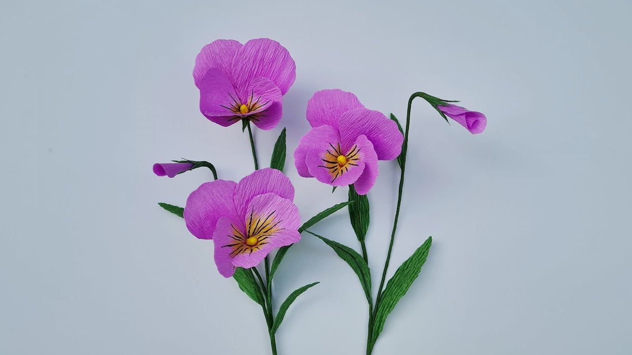 How to make Pansy flowers from crepe paper / Paper Flower / Góc nhỏ Handmade