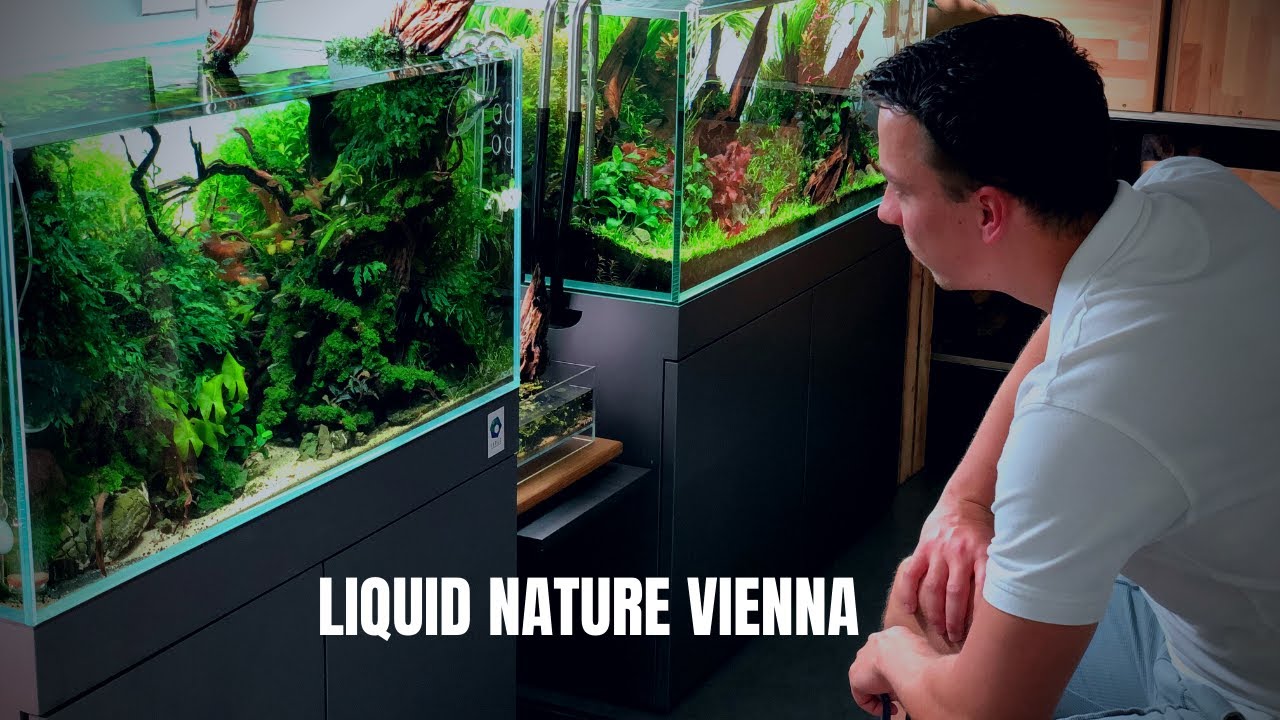 I FLEW ALL THE WAY TO VIENNA ✈ TO VISIT THIS AQUARIUM SHOP!!