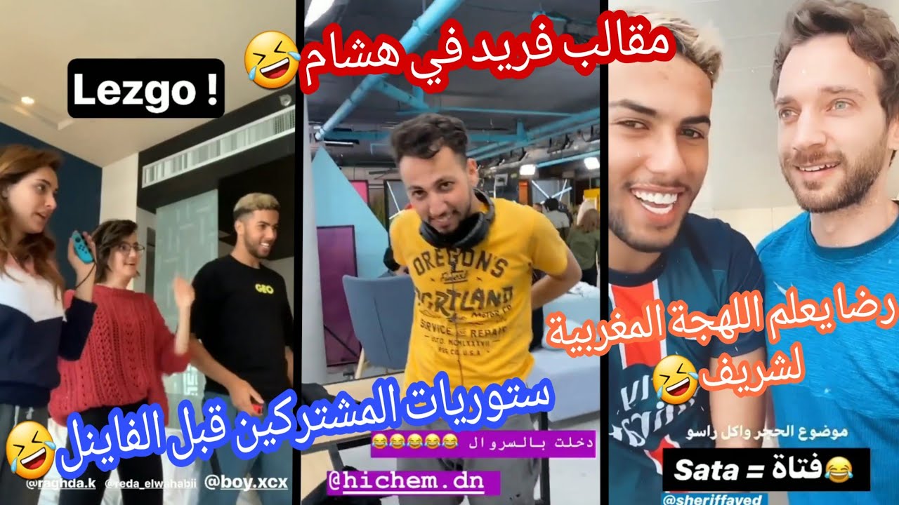ستوريات المشتركين في تحدي سديم قبل الفاينل، رضا يعلم شريف اللهجة المغريية🤣🇩🇿