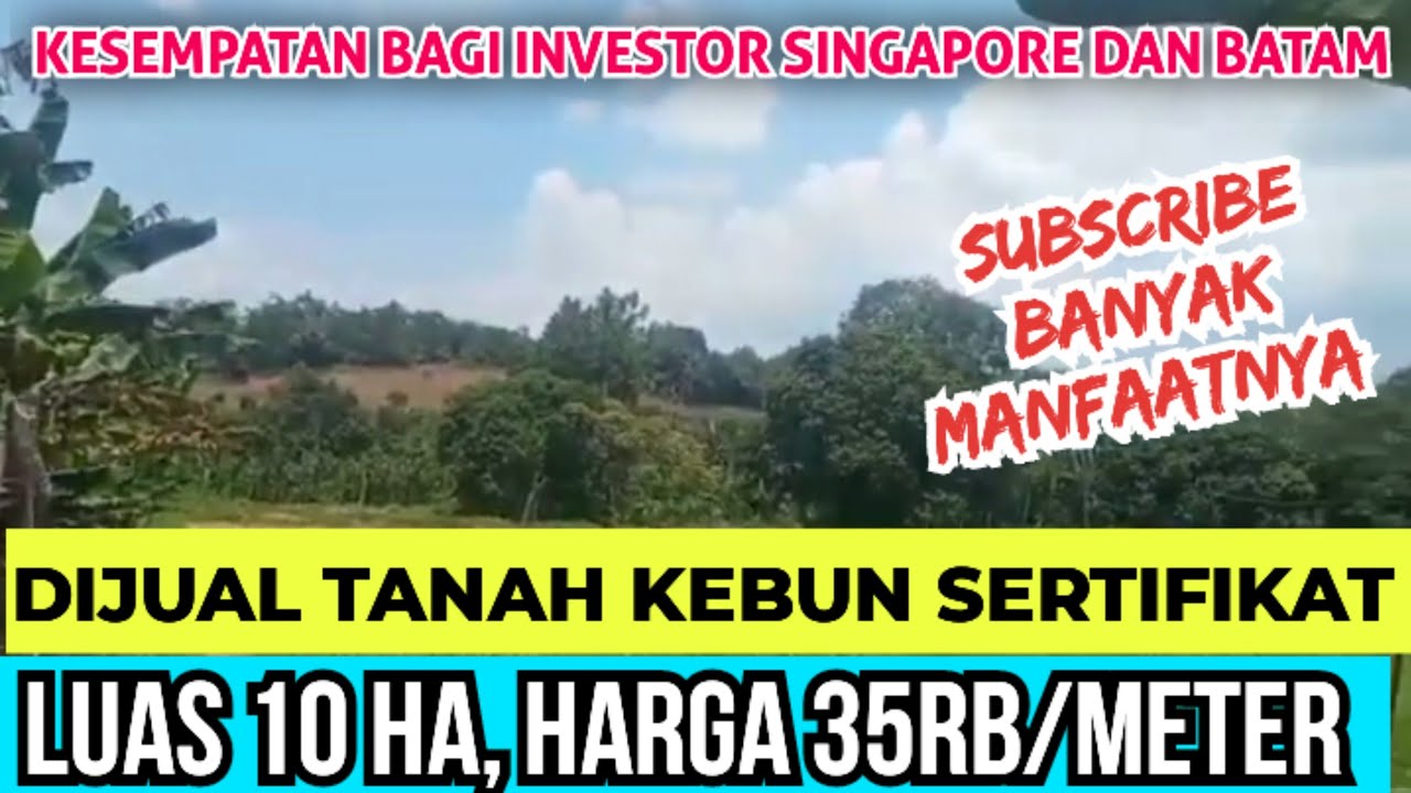 Subscribe Chanel ini bnyk manfaatnya ❗Dijual tanah  Pinggir Jalan Aspal luas 10 hektar, di Bintan