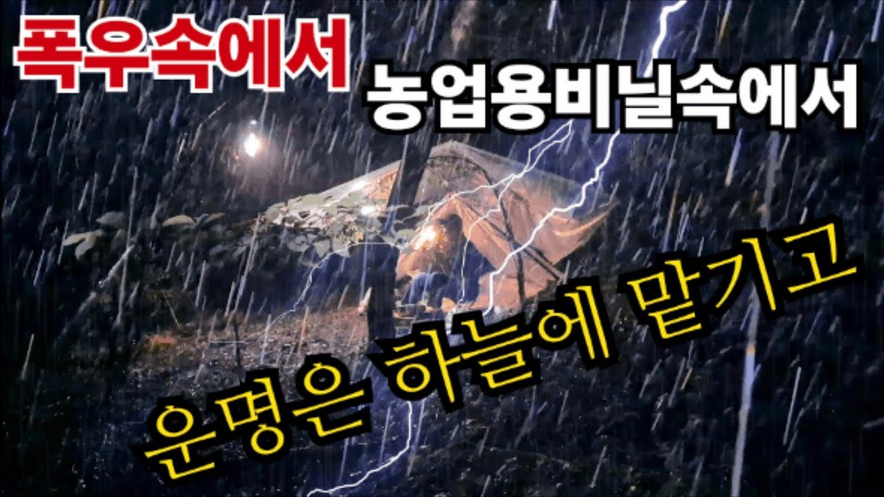 운명은 하늘에 맡기고 폭우속에서 겁없이 텐트도없이 농업용비닐속에서 우중캠핑 극강의 낭만 비박 먹방 백패킹 ASMR 차사랑캠프