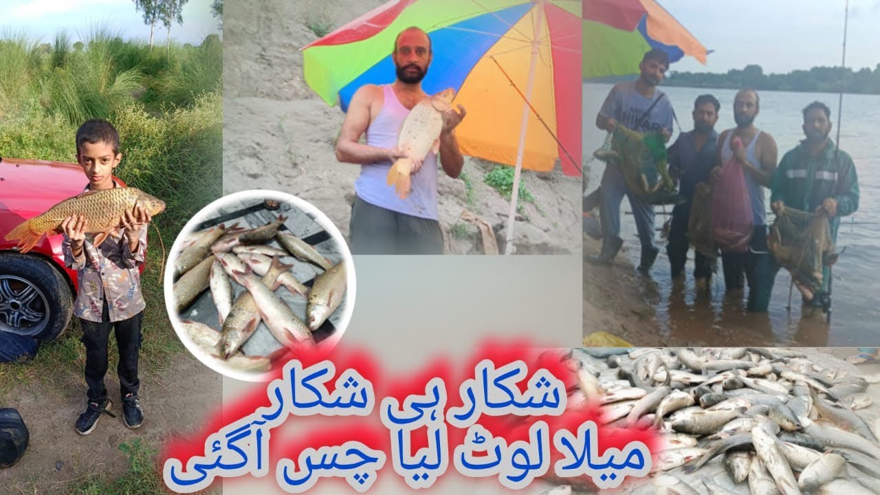 Update Rawaldam/update Mangla dam 