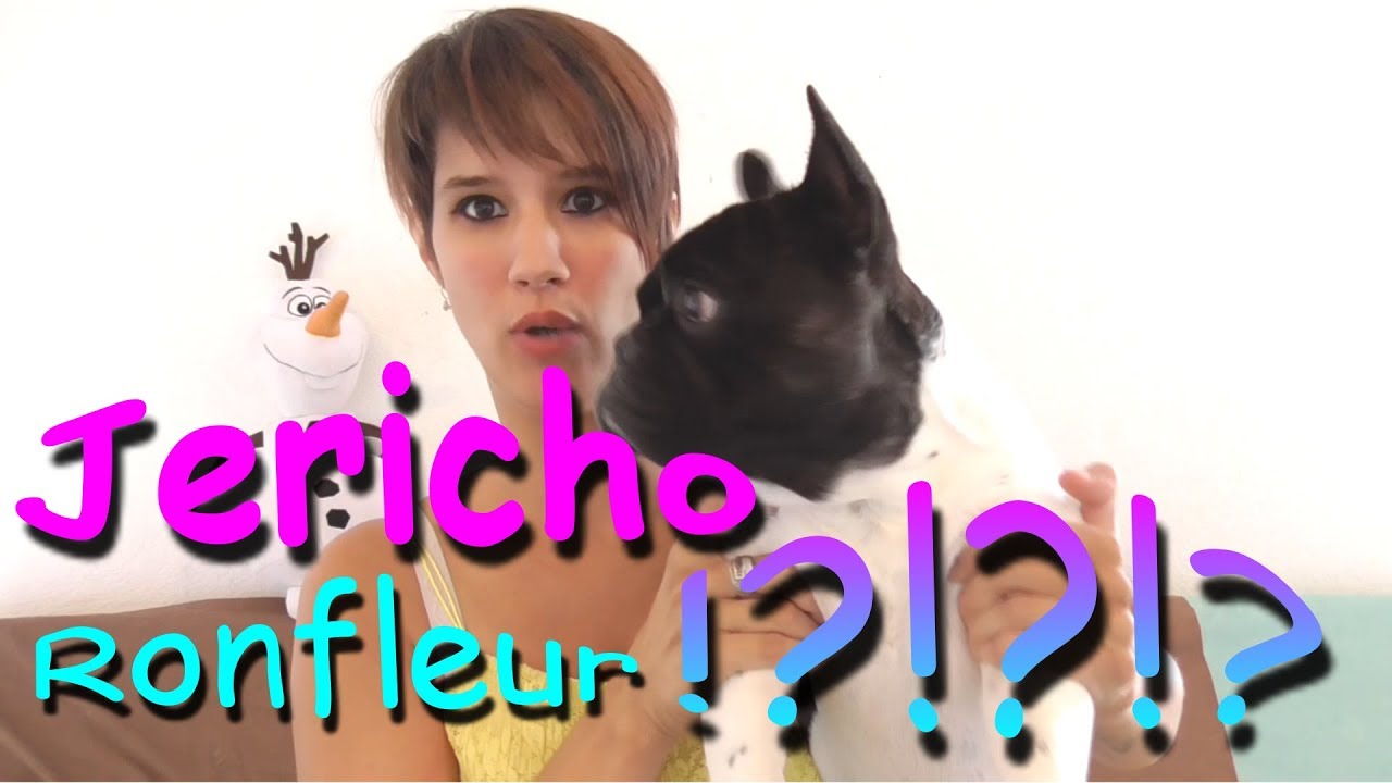 Mon chien Bouledogue français Jericho pet et ronfle ?!?!?!?