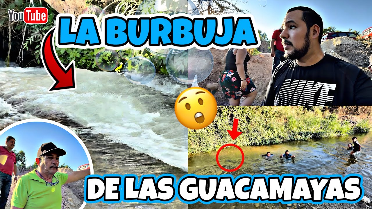 PRIMERA VEZ EN LA BURBUJA DE LAS GUACAMAYAS | Nuestro último video del 2025 agradeciendo