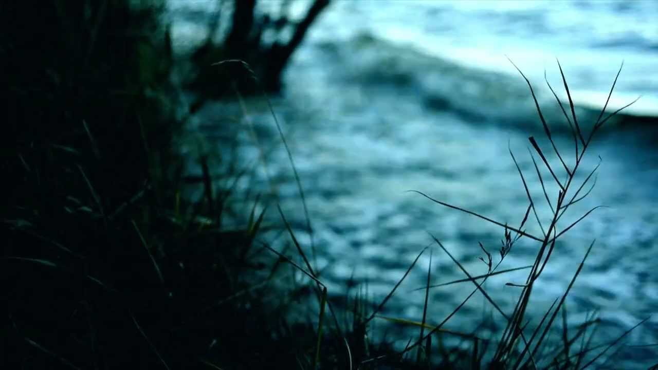 Friedemann - Vogel feat. Conny Ochs (Offizielles Video)