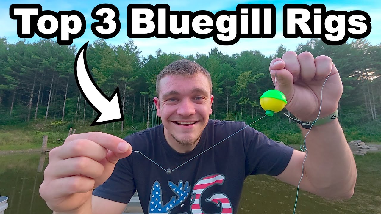 Top 3 Bluegill Fishing Rigs for Beginners!