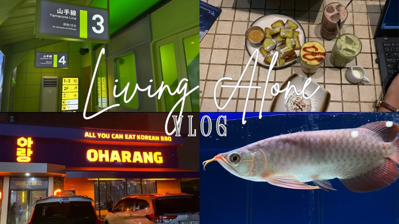 go to fish market and try some foods & cafe 🐠🍞☕️