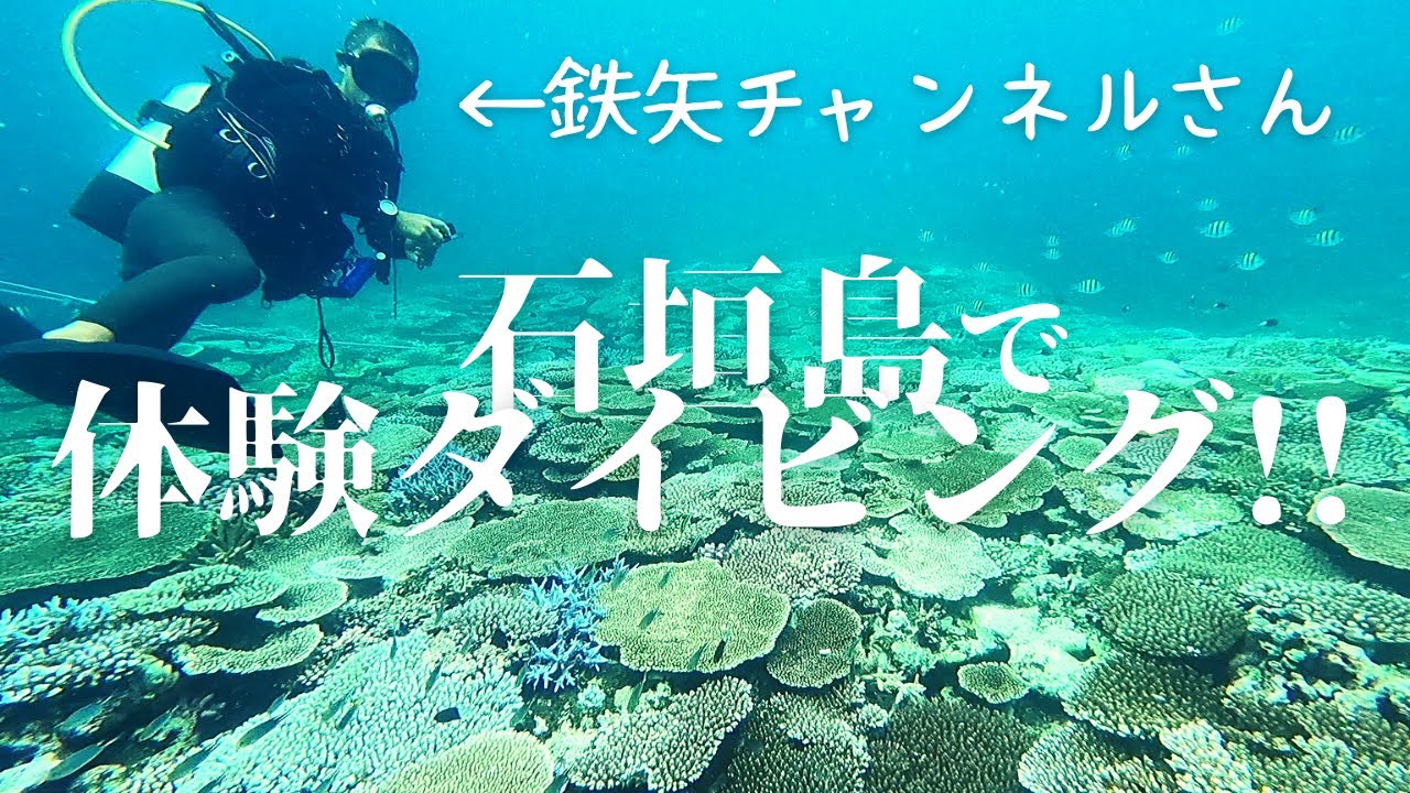 石垣島のダイビングインストラクター【 鉄矢チャンネル】さんのいるショップ surfdiveさんで体験ダイビング !!   第359話