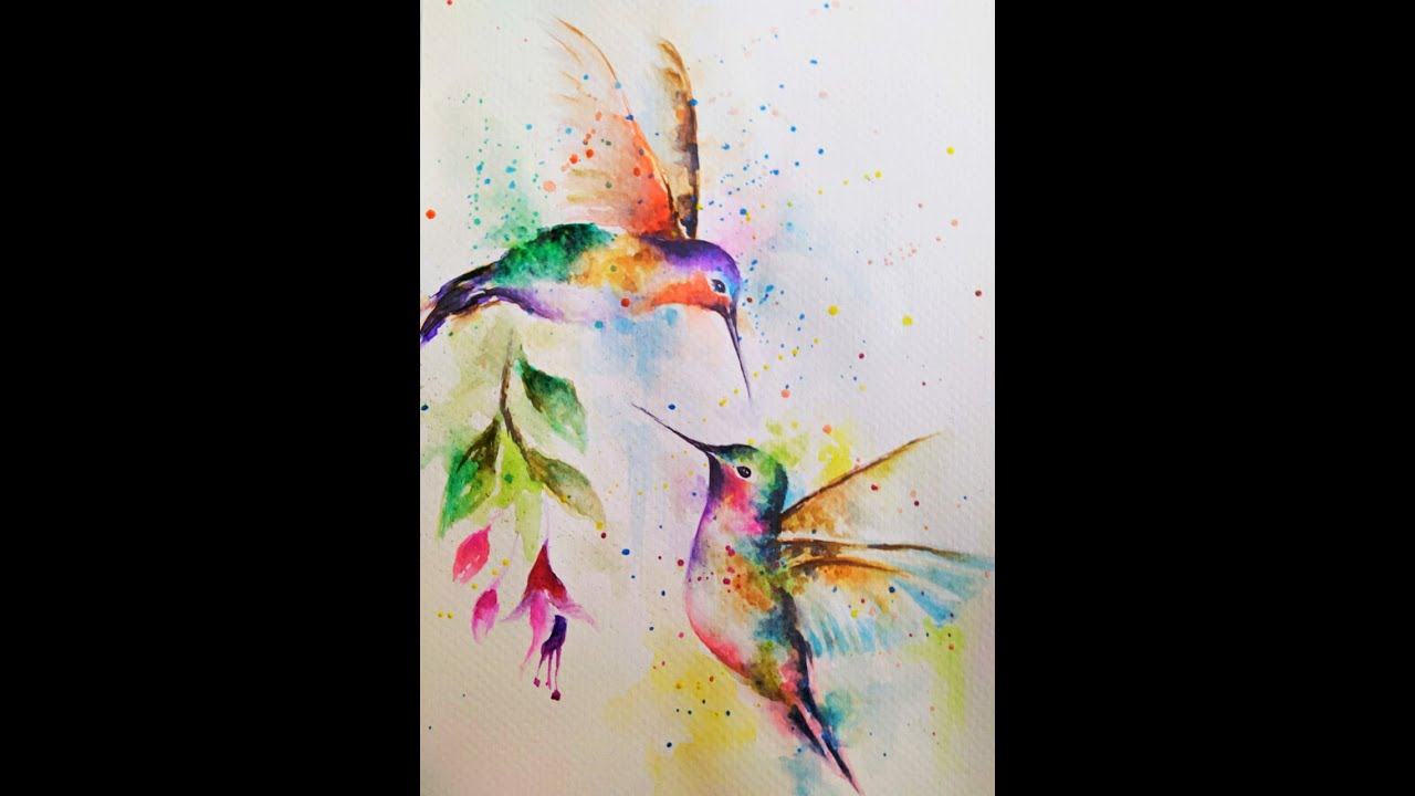 Time lapse Colibríes
