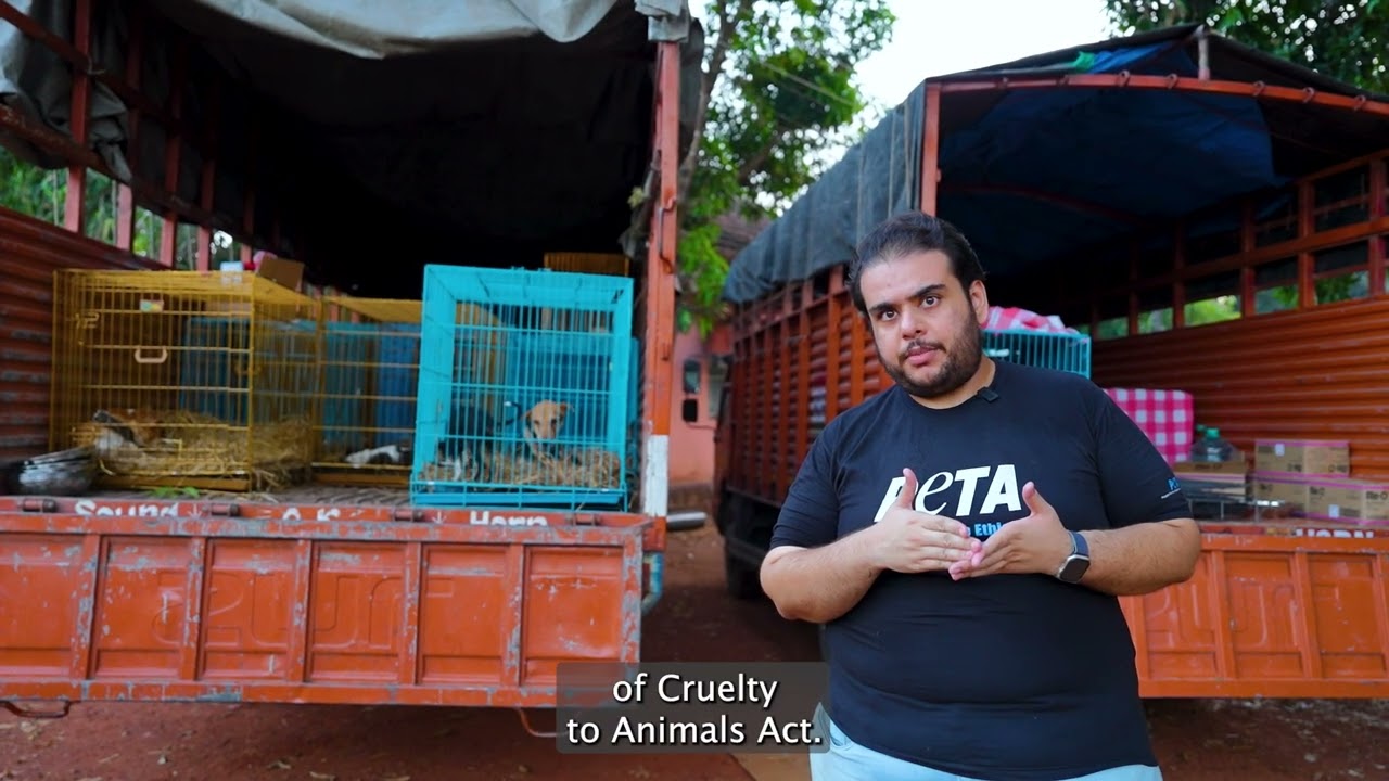 Over 200 Animals Rescued from an Udipi-Based Hoarder