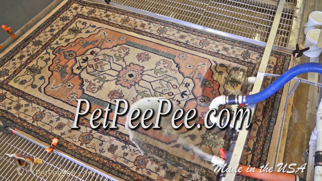 Guarantee that color will never run. Oriental rug cleaning