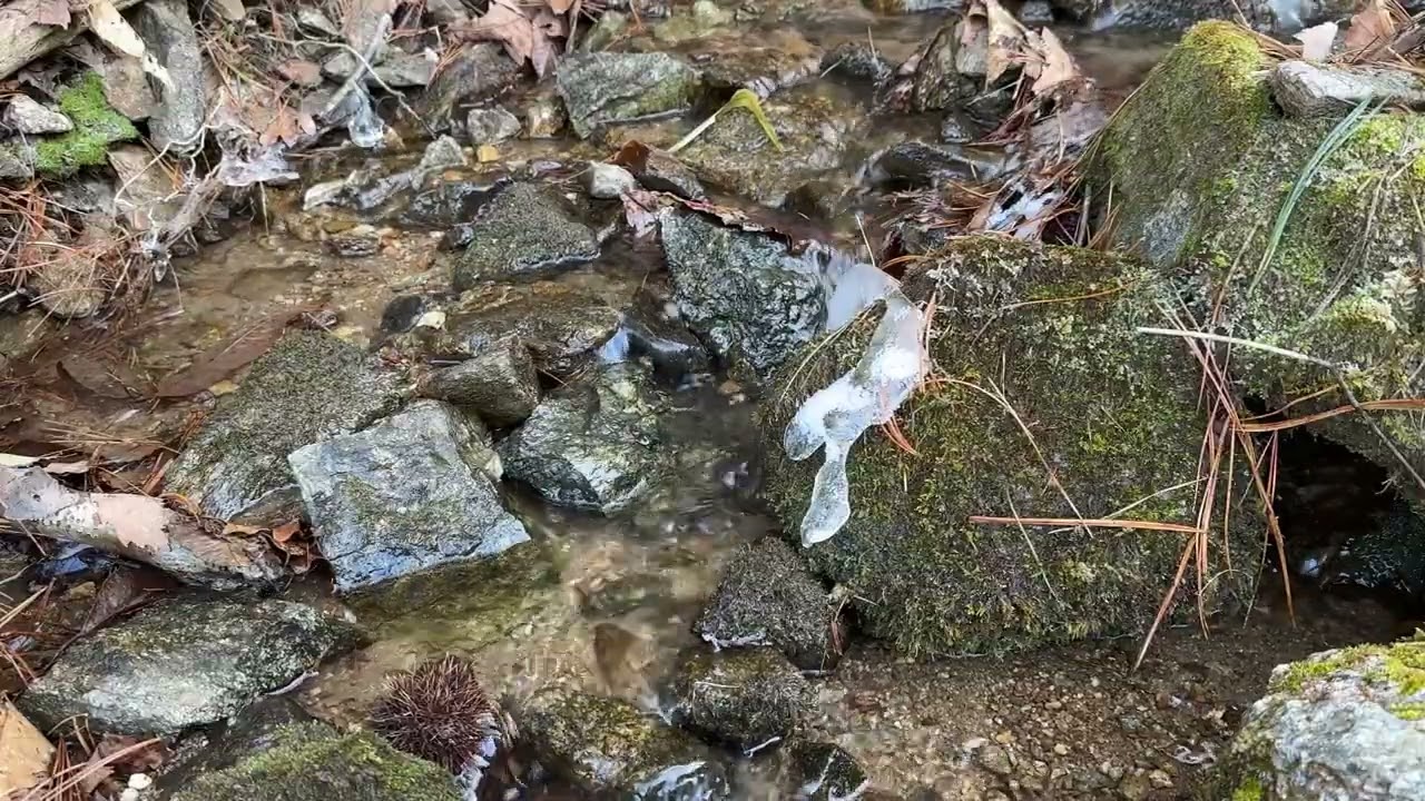 산골 작은 계곡 마음이 편안해지는 맑은 물소리 ASMR