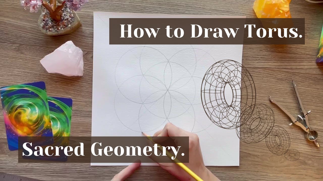 Drawing Torus. Sacred Geometry.