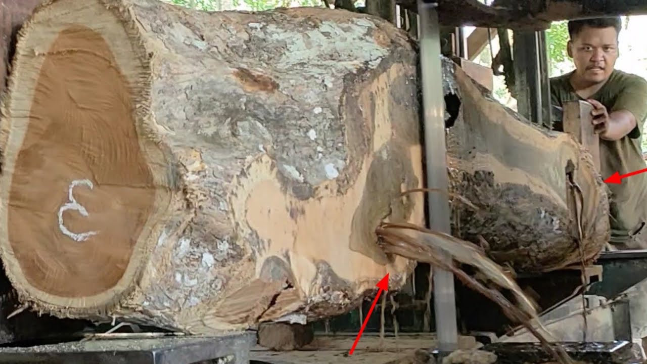 ANEH tapi NYATA! inilah proses pengolahan kayu jati di sawmill Indonesia