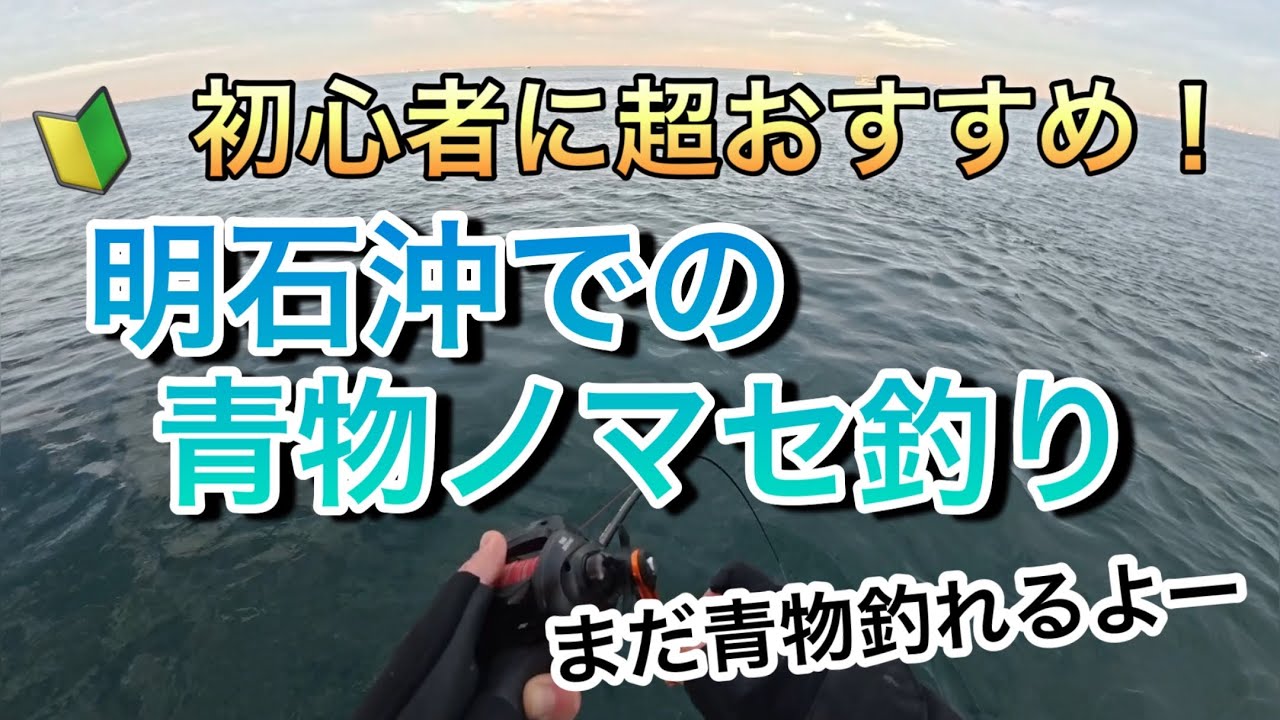 【ノマセ釣り】兵庫県 播磨町のくさべ渡船さんで青物ノマセ釣り！　ブリ　オフショア　ショアジギング