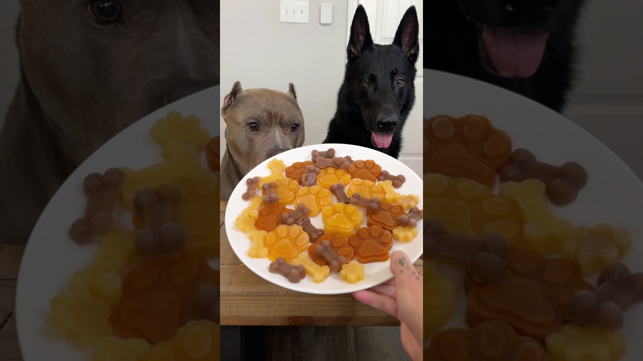 Easy healthy dog treats or food toppers!